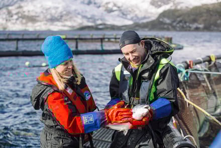 Styrket fiskevelferd og redusert dødelighet starter med bedre klassifisering av tapsårsaker